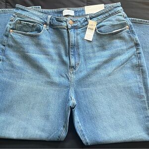 LOFT Light Blue Denim Pants